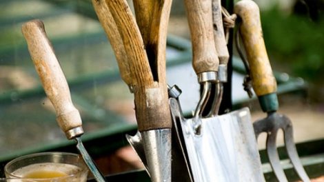 Country Living Experience – Experience Homesteading With Us!